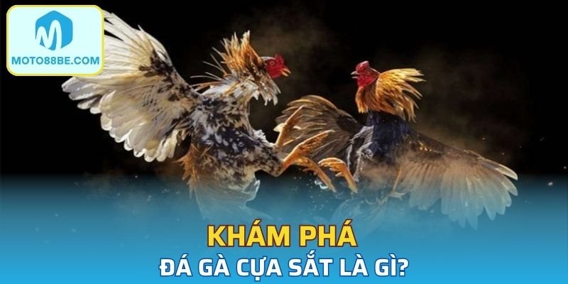 Đây là một thể loại thi đấu đặc biệt 