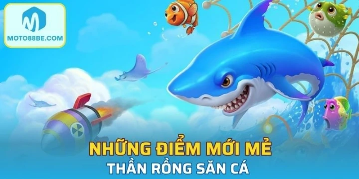 Thành viên cần nắm vững những nguyên tắc cơ bản