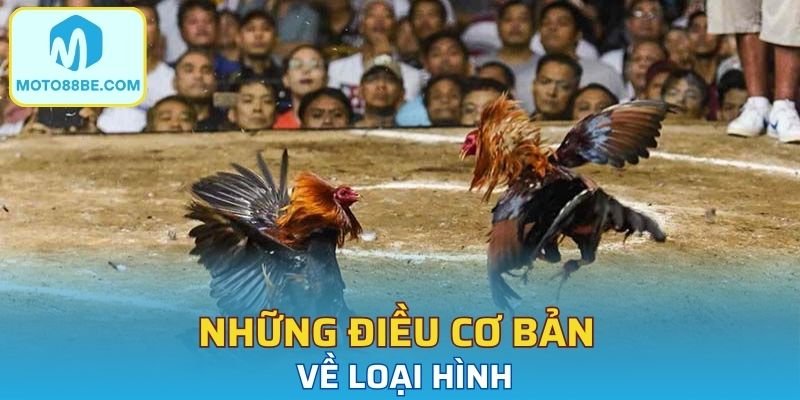 Hé lộ mẹo chơi được nhiều cao thủ ưa dùng